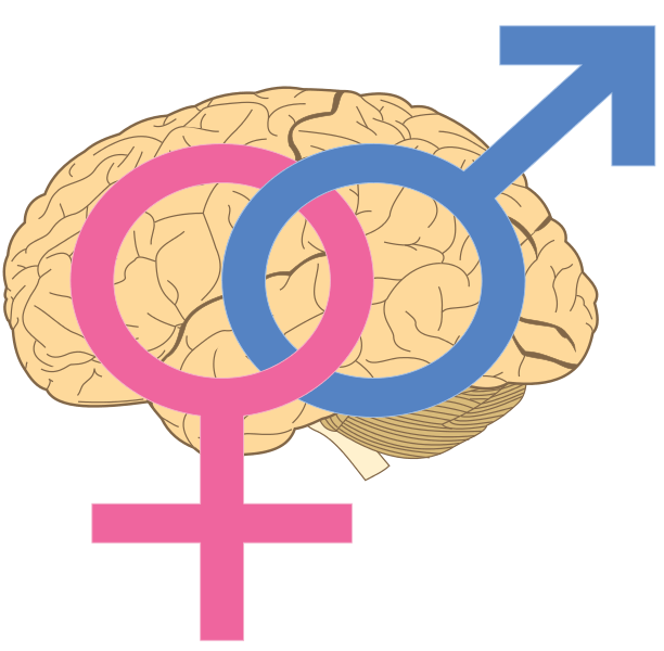 Was ist ein Sapiosexueller und was bedeutet das?