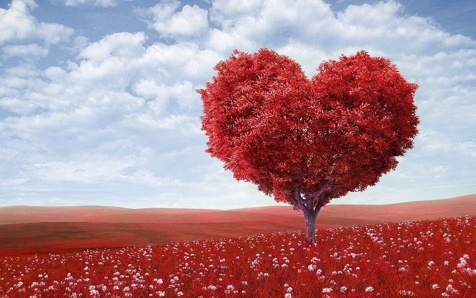 Kas yra meilės bombardavimas? Pavyzdžiai ir pavojai