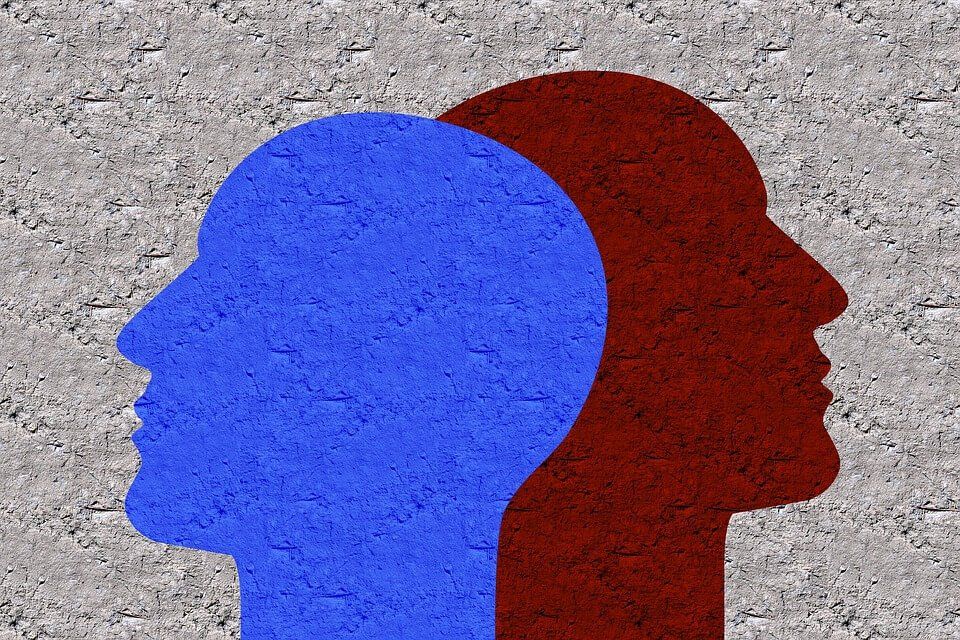 ¿Qué es la psicología dividida?