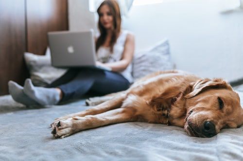 psiquiatra online
